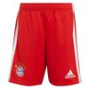 9376 PACK BAYERN MUNICH DOMICILE KIMMICH. ENSEMBLE ADULTE MAILLOT ET SHORT 2022 2023