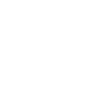 PORTUGAL LIGA